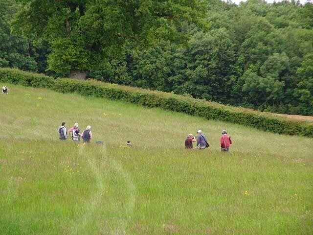 Northchapel Fields