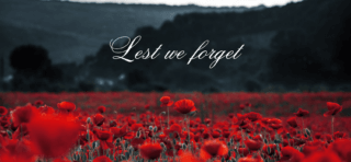 Read more about the article Northchapel Shoot – Remembrance Day 2023