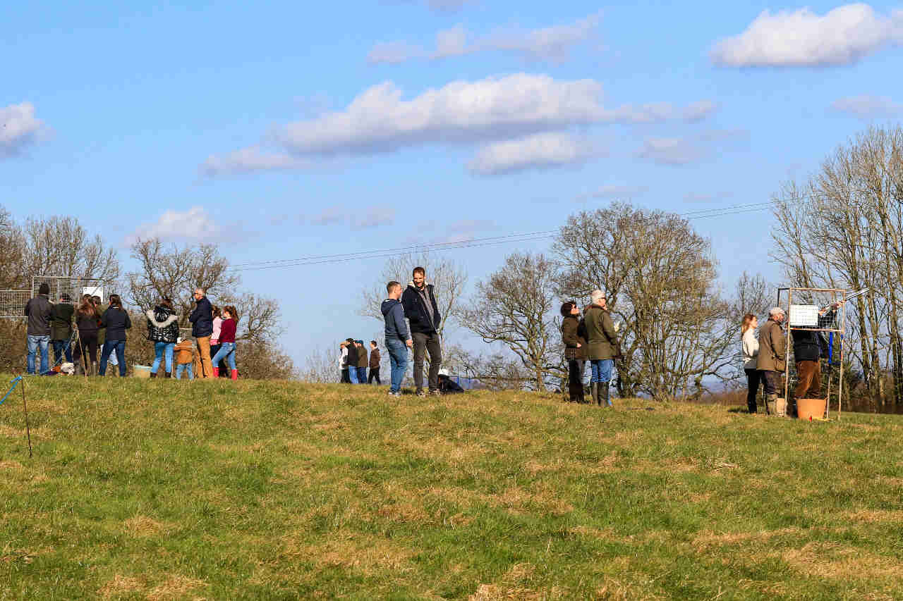 JOE_3514.jpg JOE_3514.jpg