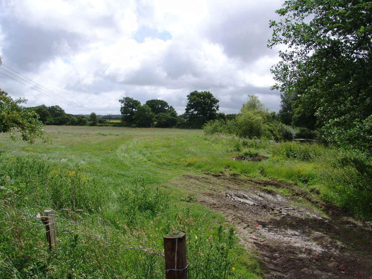 Track out to Back Field.jpg Track out to Back Field.jpg