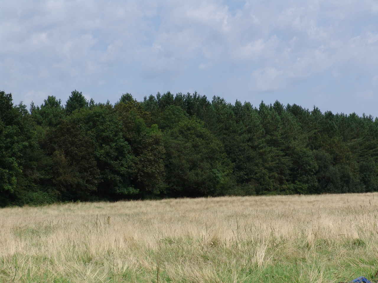 Back Field.jpg Back Field.jpg