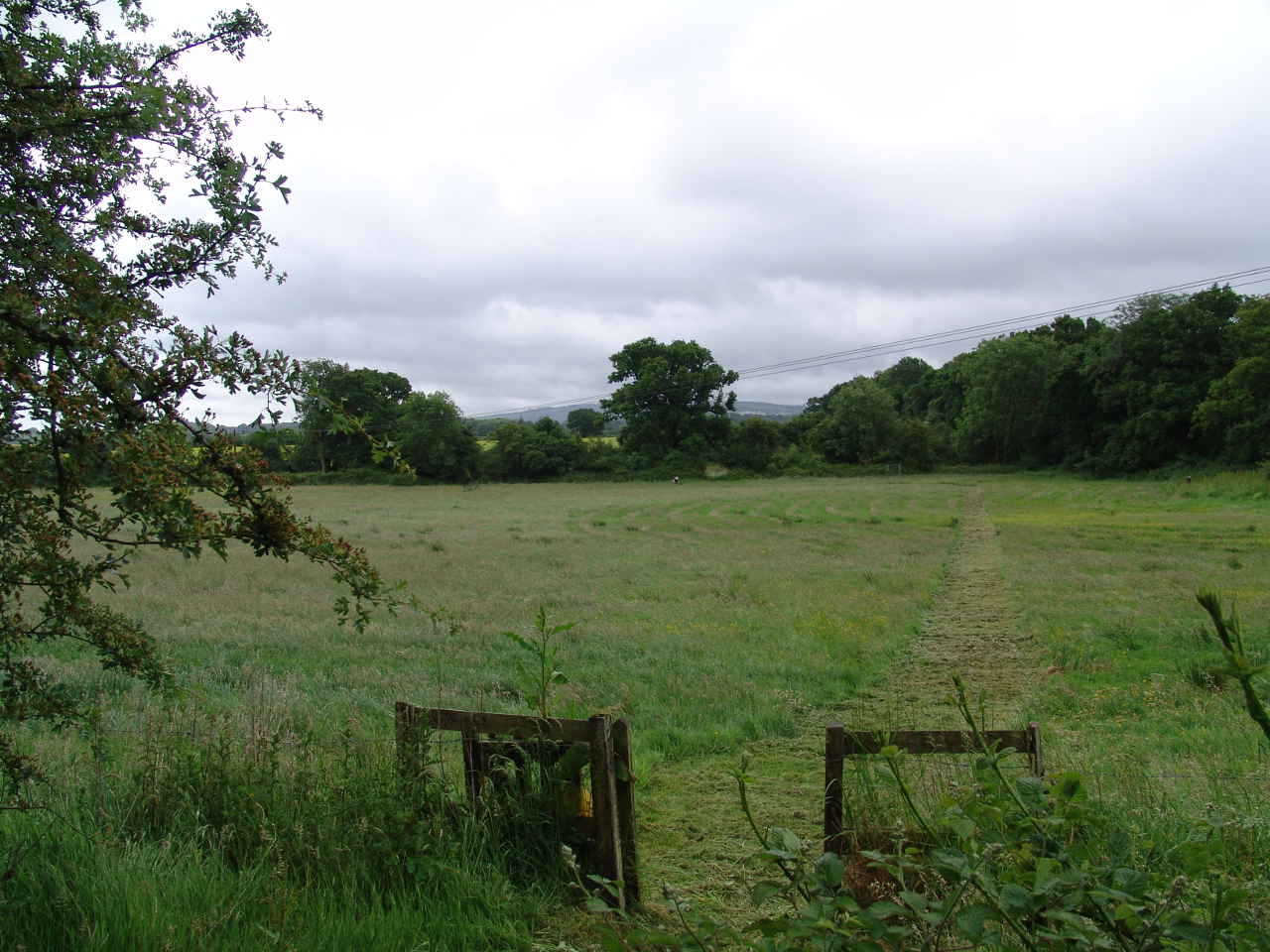 Looking out from Stand 4.jpg Looking out from Stand 4.jpg