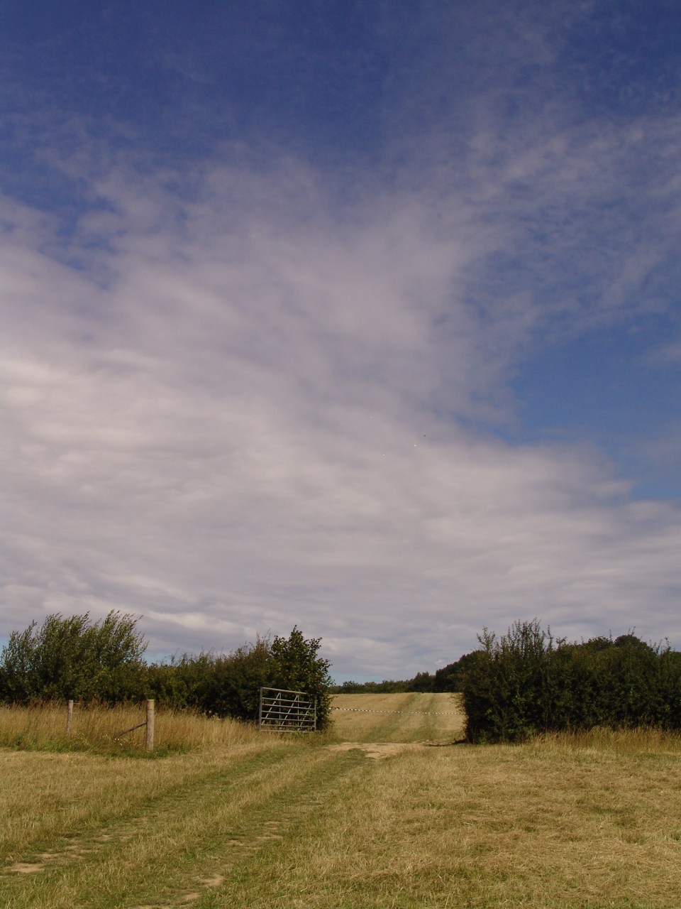 View From First Field.jpg View From First Field.jpg