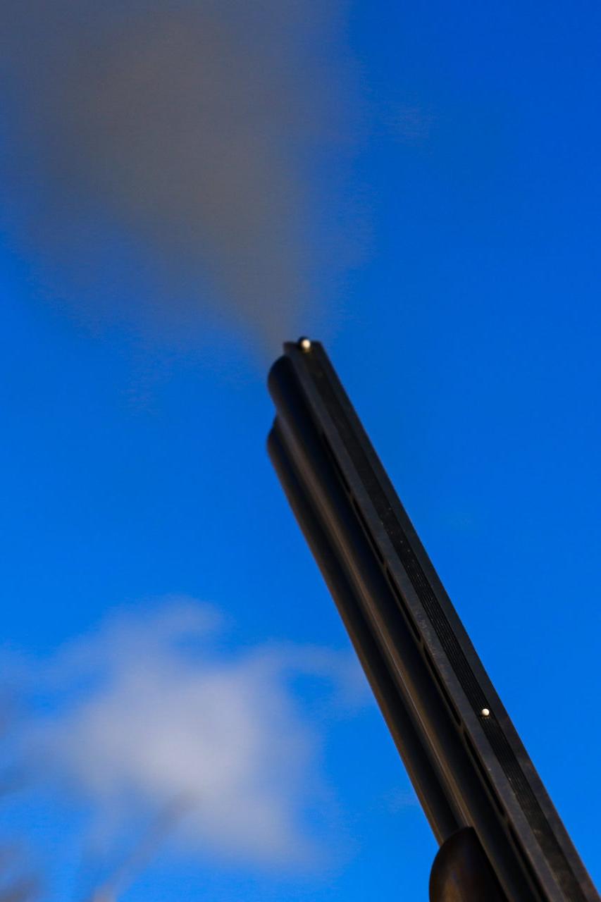 JOE_2954.jpg JOE_2954.jpg